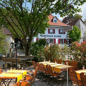 Zur Blume Hotel&Restaurant Efringen-Kirchen bei Basel